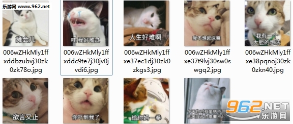 ��Ƥè���Һ��ѹ��������ͼ0