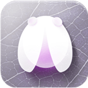 ���湤����app