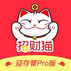 �в�è����pro�����°�