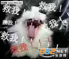 ������ҫ����˺���ѷα������ˮӡ��ͼ1