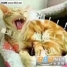 ������ҫ����˺���ѷα������ˮӡ��ͼ0