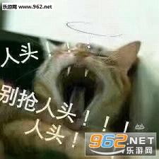 ������ҫ����˺���ѷα������ˮӡ��ͼ2