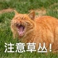 ������ҫ����˺���ѷα������ˮӡ��ͼ5