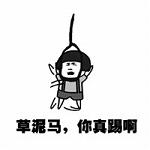 �鷳�������µ��ӱ������ˮӡ��ͼ1