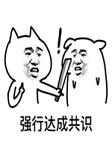 ǿ�д�ɹ�ʶ�����