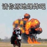 ����ԭ�ر�ըgif�������ͼ2