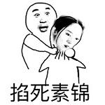 手撕素锦玄女表情包无水印截图4