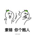 手撕素锦玄女表情包无水印截图2