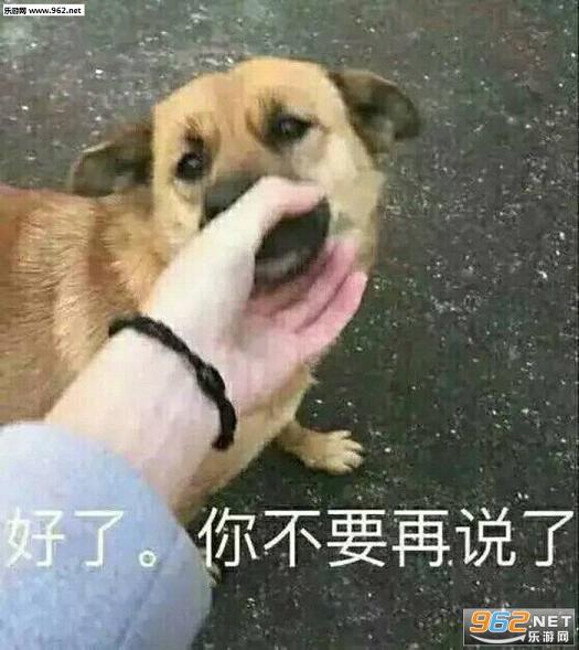�����㲻Ҫ��˵�˱������ˮӡ��ͼ0