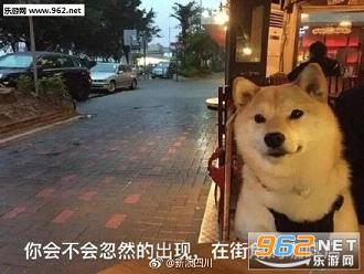 ��Ȯ�������������ͼ1