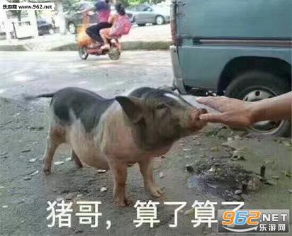 ����ϵ�м����������˱������ͼ1