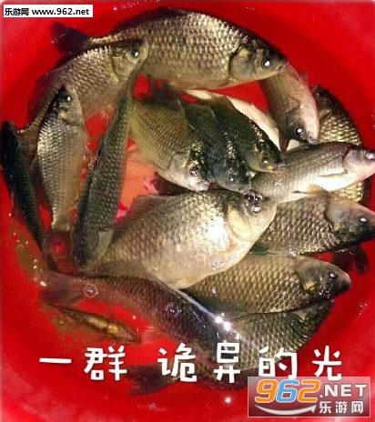 诡异的光表情包截图1