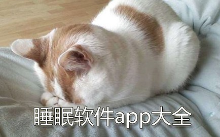 ˯������app_��׿˯������ ������
