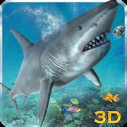 Hungry Shark(�������������)