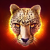 TheCheetah(�Ա�The Cheetah��׿��)