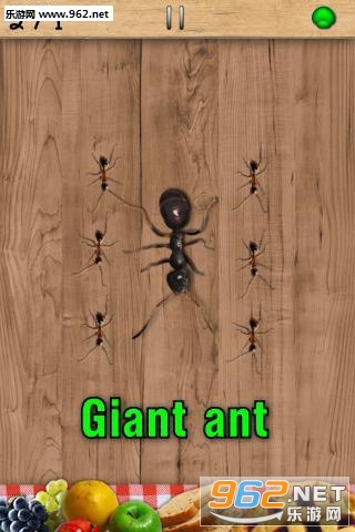 -Ant Smasher-(�����ս��߰�׿��)v1.0.0��ͼ2