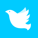 ֪��app