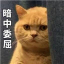 ����ί����è�����