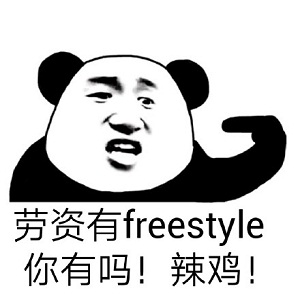 ���ෲfreestyle�������