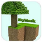 SkyBlock(�յ���������)