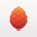 �ɹ�����app