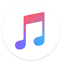 ����ڣAPP