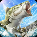 Bass 3D-II(��˹�������°�)