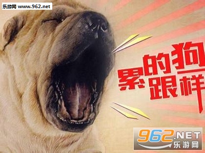 ���˳ɹ��������ˮӡ��ͼ1