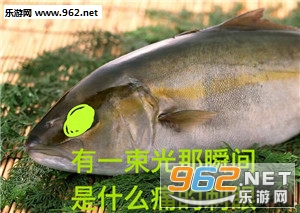 诡异的光表情包截图3
