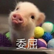 Ц�����б����