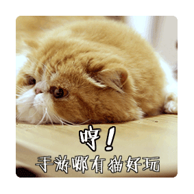 �����ɵb�ദ�����