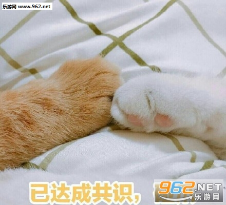 7�¾�ѡ���ű������ȫ��ͼ0