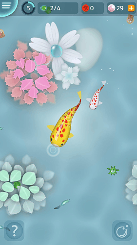 Zen Koi���ڽ������ν�ͼ4