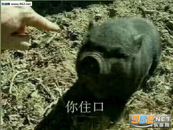 �������޵Ĵ��嶼���˱�������ºϼ���ͼ0