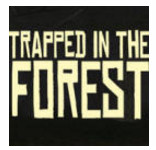Forest FREE(����ɭ�ֹٷ���)