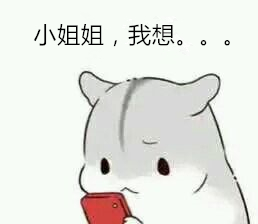 关于小姐姐的表情包大全高清无水印截图0