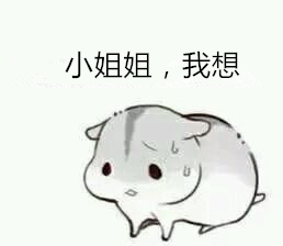 关于小姐姐的表情包大全高清无水印截图1