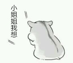 关于小姐姐的表情包大全高清无水印截图2