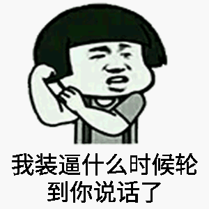 我装逼什么时候轮到你说话了表情包截图1
