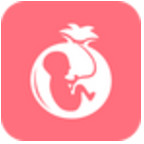 ʯ������app