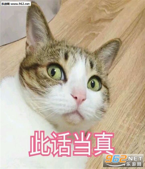 �����˴��ֿɰ��������ͼ2