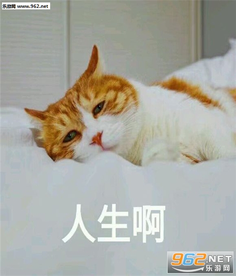 �����˴��ֿɰ��������ͼ3