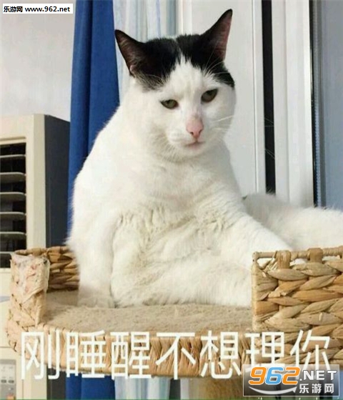 �����˴��ֿɰ��������ͼ0