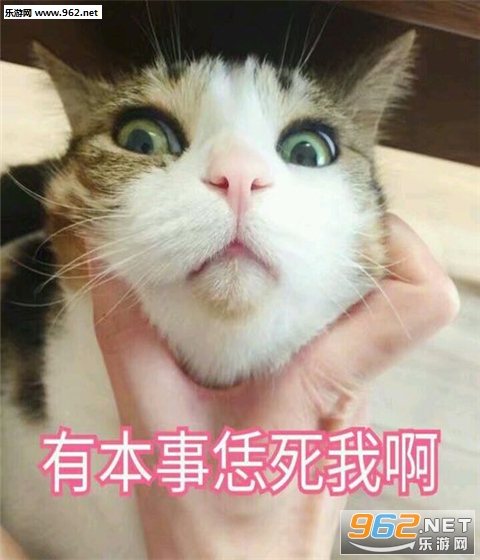 �����˴��ֿɰ��������ͼ1
