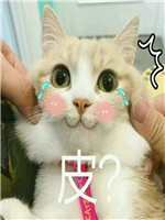 è����ֱ����