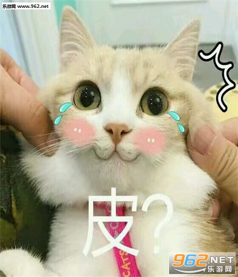 è����ֱ������ͼ0