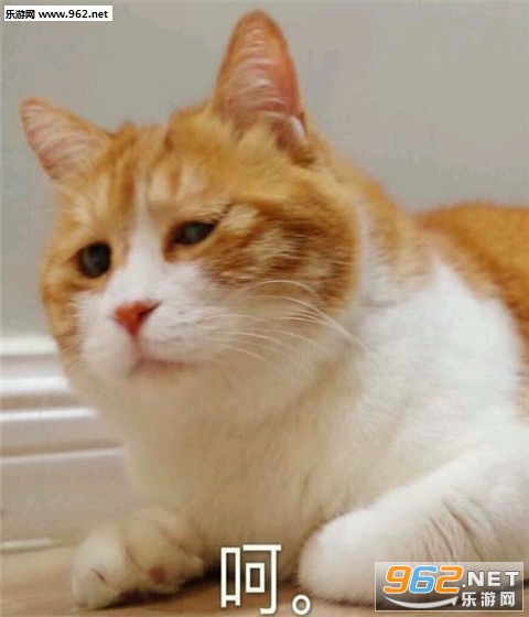 è����ֱ������ͼ1