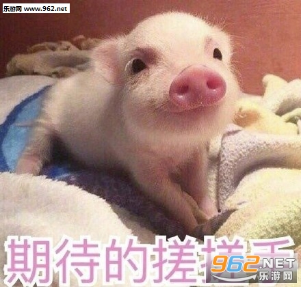 ������е������������ˮӡ��ͼ0