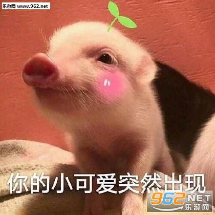 ������е������������ˮӡ��ͼ1