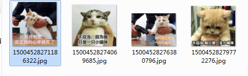 ��Ӧ����Ϊ��ֻ��һֻСè��������ͼ0